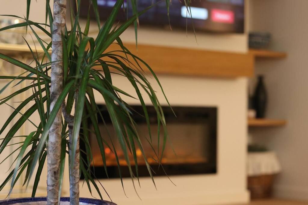 Lc Apartaments Voramar Benicàssim Eksteriør billede